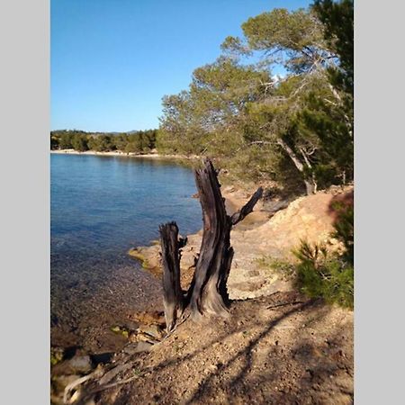Face Mer Entre Plage Et Marina Bormes-les-Mimosas Bagian luar foto