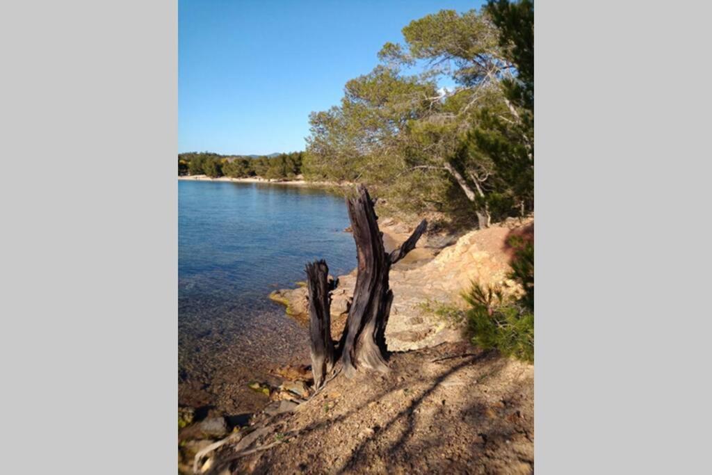 Face Mer Entre Plage Et Marina Bormes-les-Mimosas Bagian luar foto