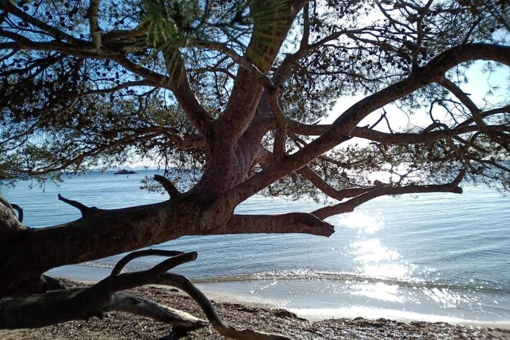 Face Mer Entre Plage Et Marina Bormes-les-Mimosas Bagian luar foto