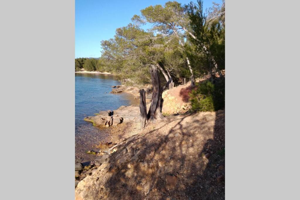 Face Mer Entre Plage Et Marina Bormes-les-Mimosas Bagian luar foto